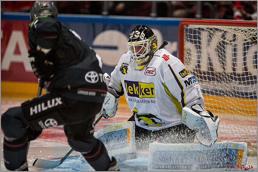Koelner Haie - Krefeld Pinguine , 23.09.16(KW38)